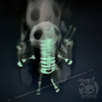 Plushie Dreadfuls - Bone Organ Izer Bunny - Plush Stuffed Animal toy