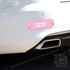 Plushie Dreadfuls - Car Decal Bandaids Sticker