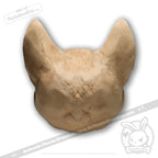 Scruffy Bumps Palm Skull - Mysterious