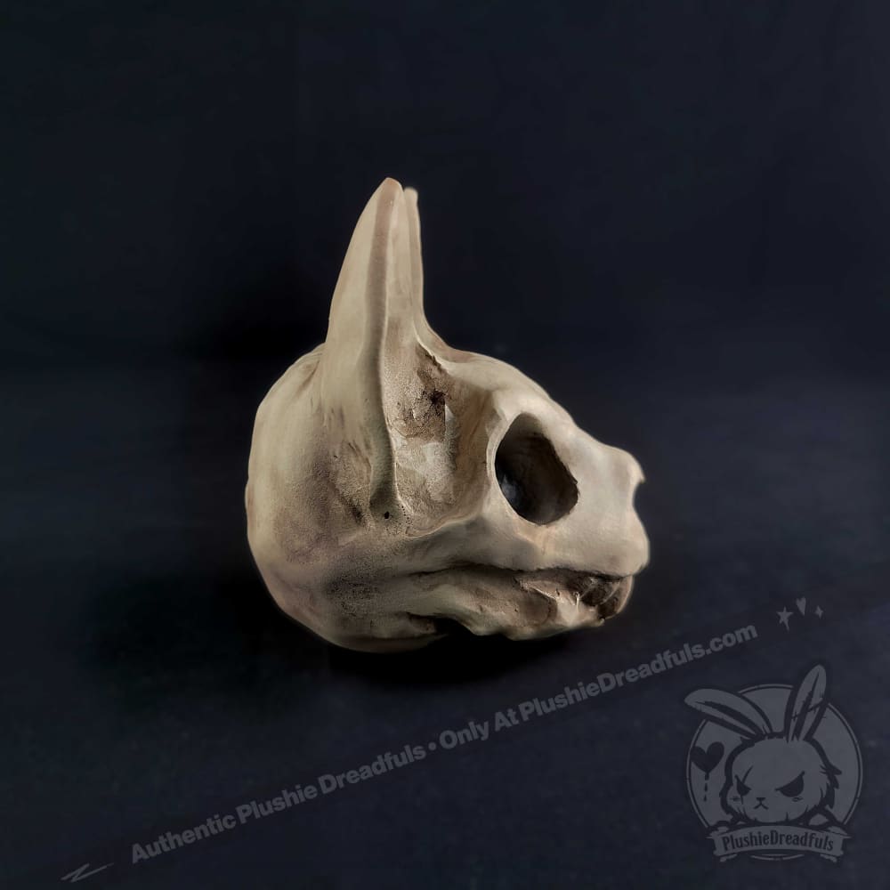 Scruffy Bumps Palm Skull - Mysterious