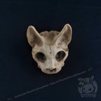 Scruffy Bumps Palm Skull - Mysterious