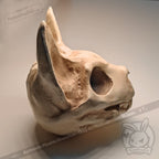 Scruffy Bumps Palm Skull - Mysterious